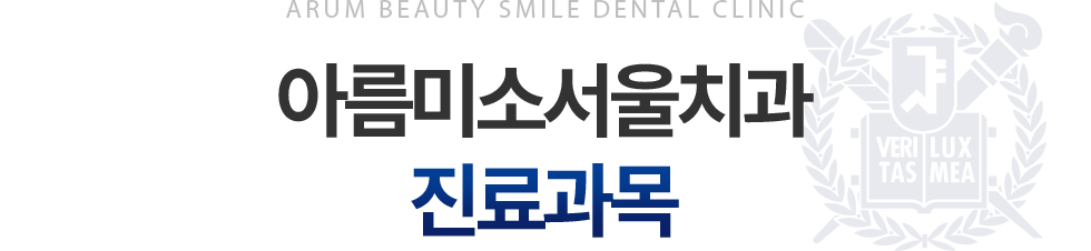 아름미소서울치과 진료과목