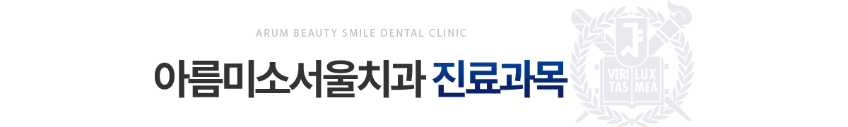 아름미소서울치과 진료과목